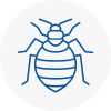 Bed Bug Extermination In Hoddesdon